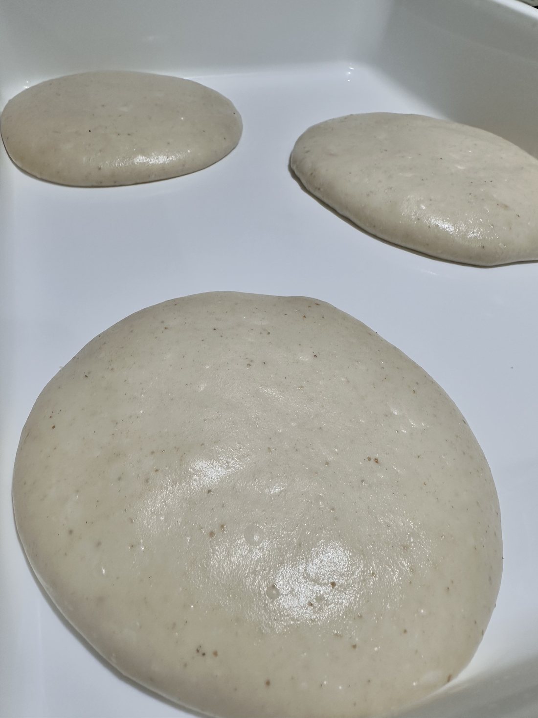 Sourdough pizza dough balls that have spread flat and wide after three days in the fridge